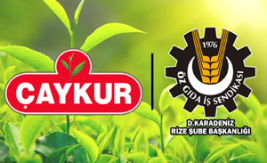 Öz Gıda İş Sendikasından Çaykur kura çekimi iddialarına cevap