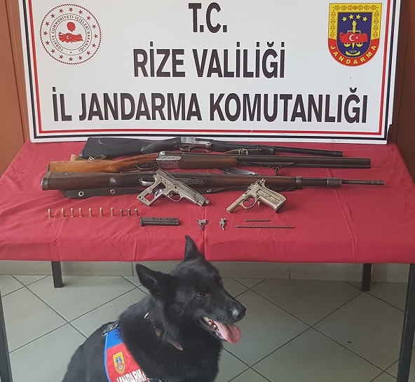 Rize İl Jandarmama Komutanlığı Kasım Ayı Raporu