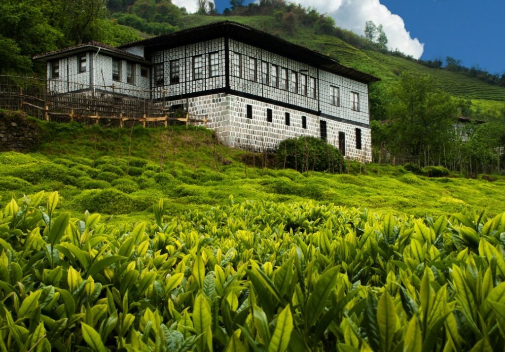 T.C. Rize Valiliği 2. Ulusal Fotoğraf Yarışması