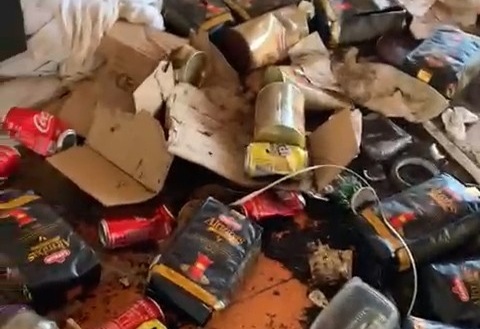 Aç Kalan Ayılar Yayla Evlerine Girdi