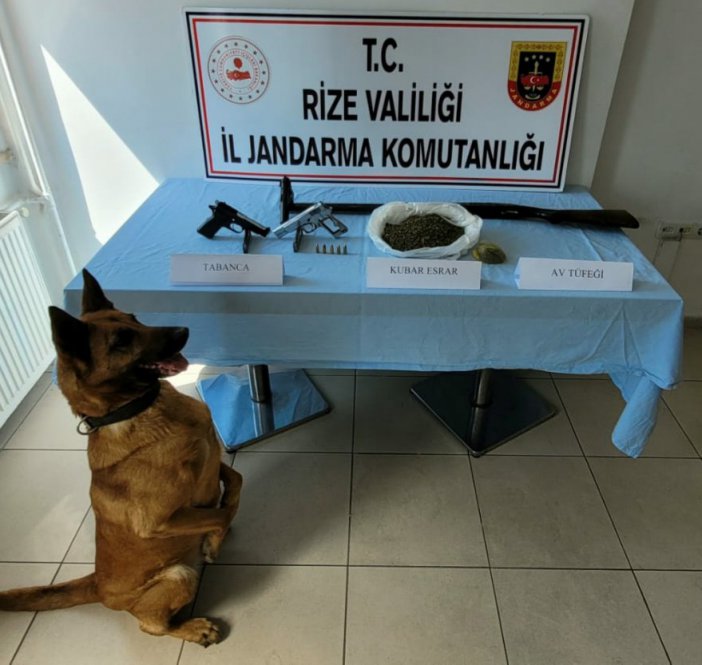 Rize’de bir evde esrar ve kacak silah yakalandı
