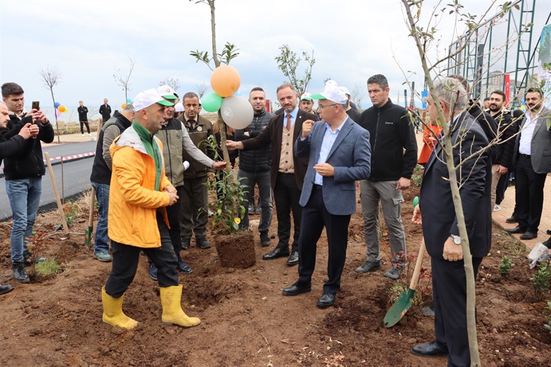 Türkiye Yüzyılına Nefes Olacak Fidanlar Rize’de Toprakla Buluştu