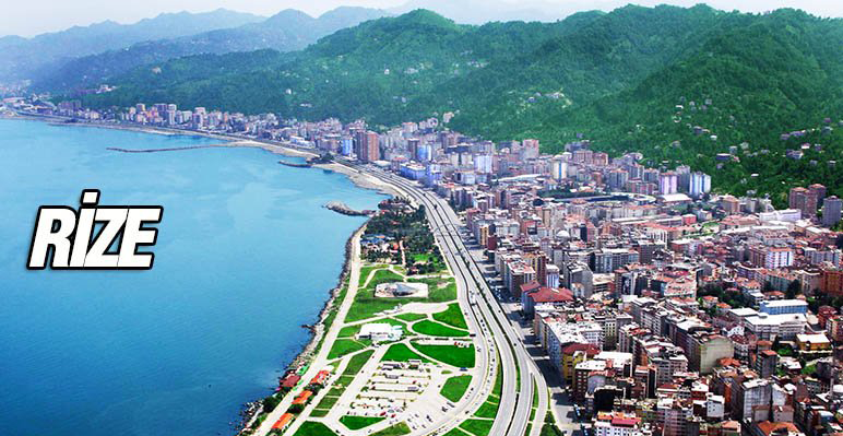 Rize ve İlçeleri başı boş sokak kopeklerinden dertli video