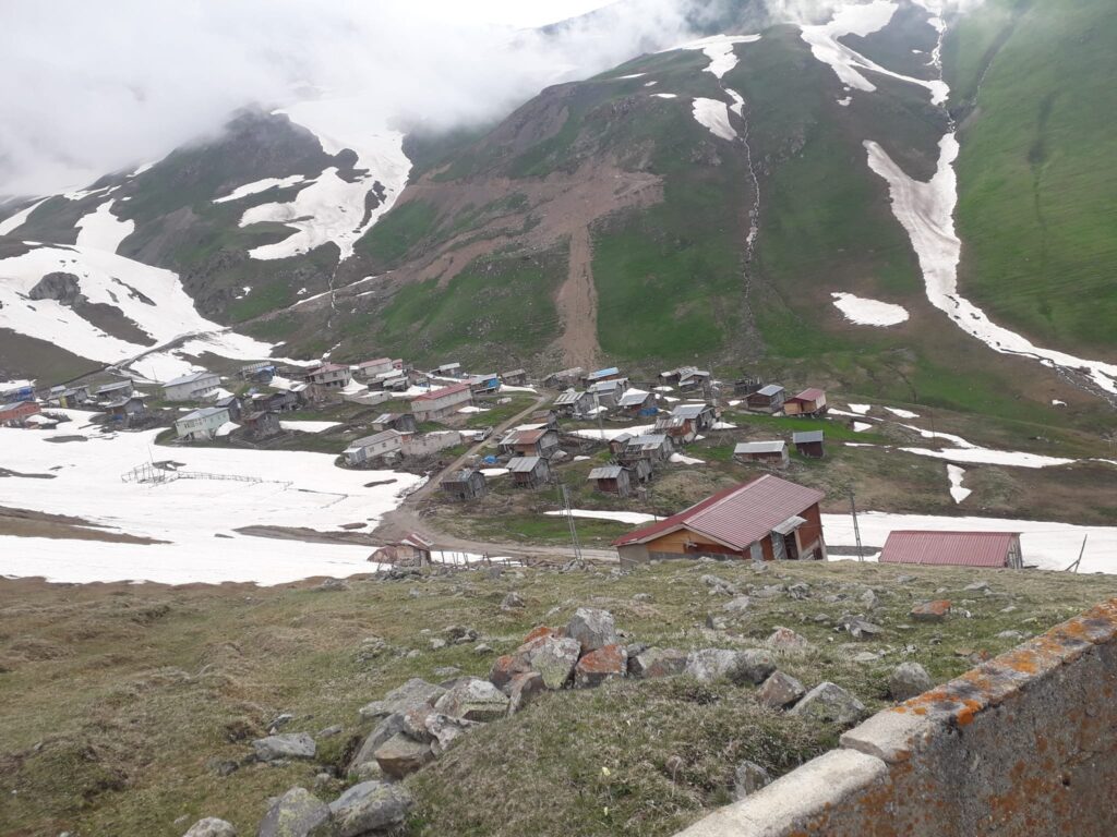 Meles Çifteköprü Arcevit Yaylasında Ayılar Evleri Talan Etti