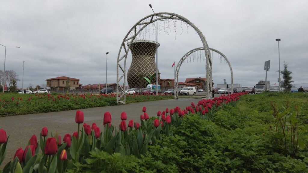 Rize Belediyesi Sera Alanına Lale Soğanı Yetiştiricili