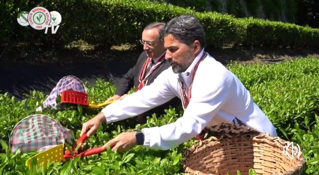 Yusuf Ziya Alim,İlhan Palut çay bahçesine indi