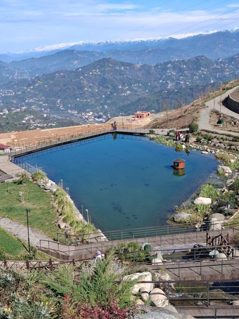 Rize’nin Saklı Cenneti Isırlık tabiat Parkından Görüntü