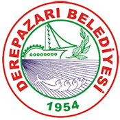 Derepazarı Beleyesinden İhale