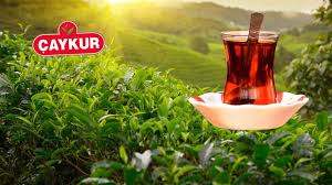 ÇAYKUR’dan Kuru Çaya Zam